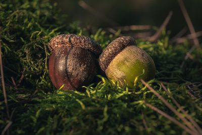 Une histoire d'amour