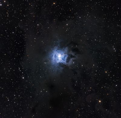 NGC 7023 - The Iris Nebula