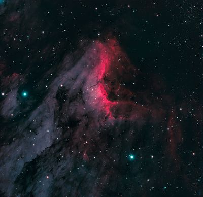 IC 5070 - The Pelican Nebula