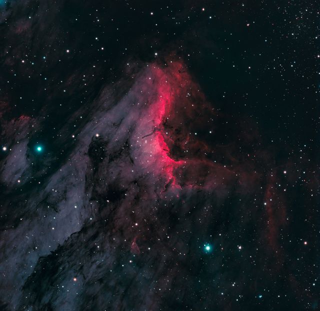 IC 5070 - The Pelican Nebula