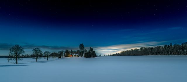 Winter night
