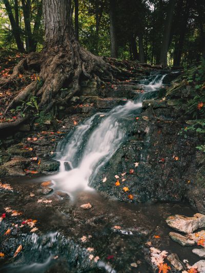 Hickory Falls
