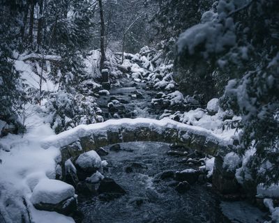 A tiny bridge for a tiny troll