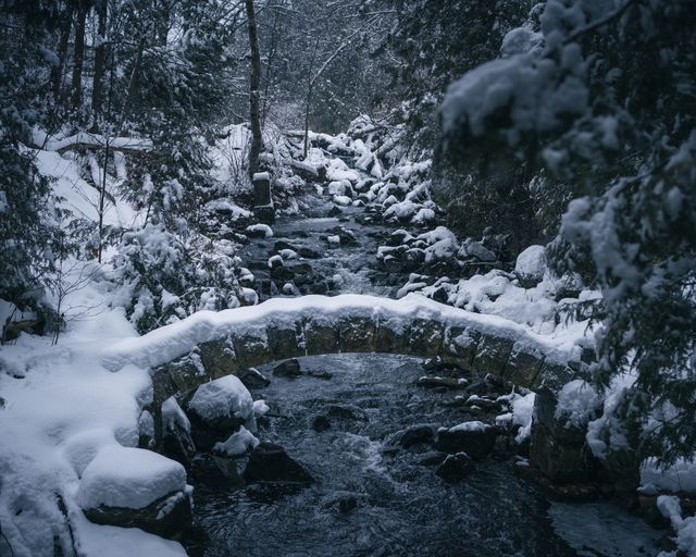A tiny bridge for a tiny troll